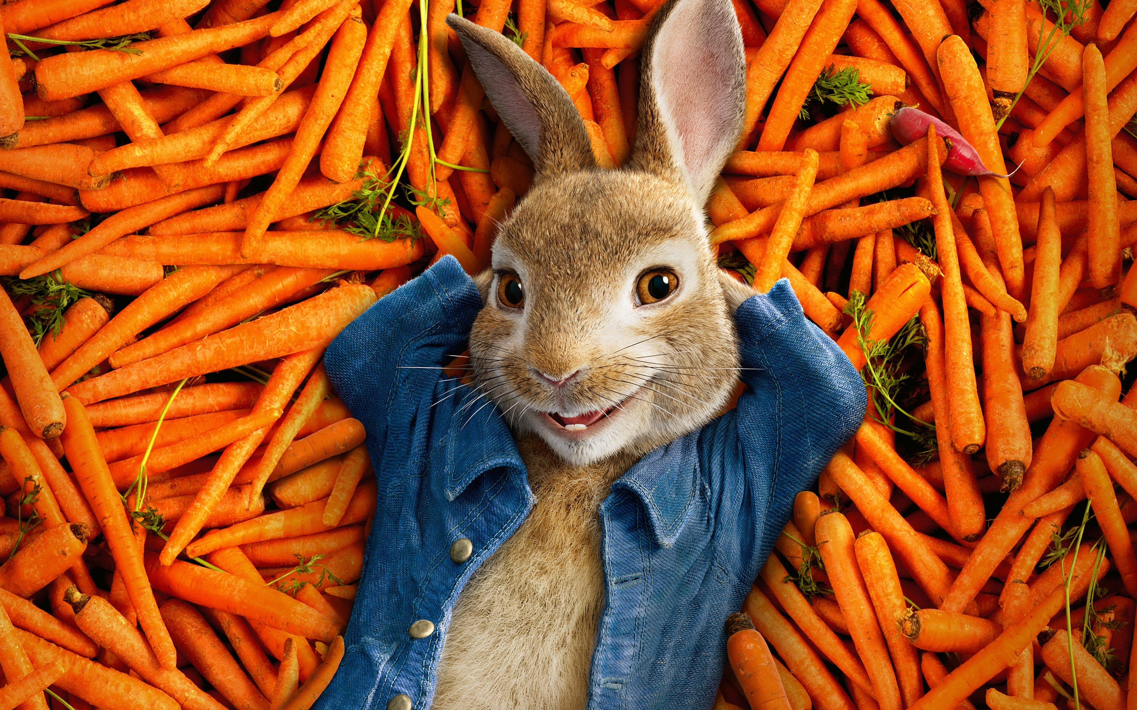 《彼得兔Peter Rabbit 》4k壁纸