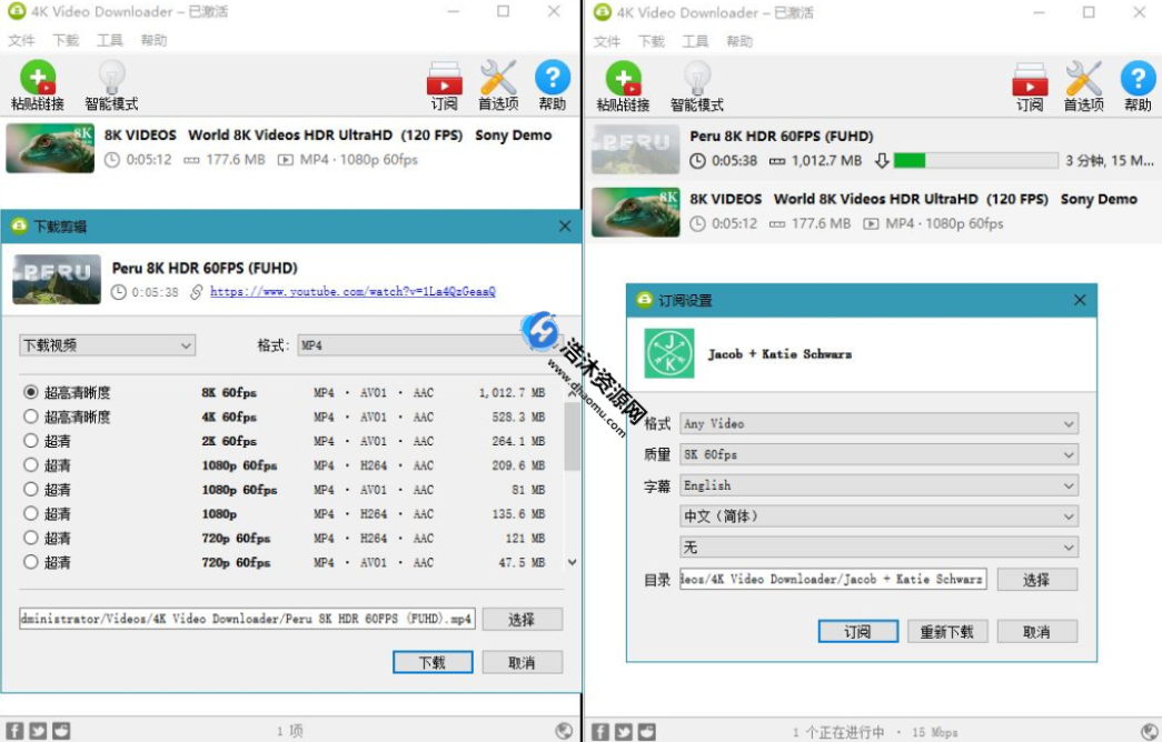 4K Video Downloader（4k视频下载器）V4.21.0.4940中文绿色激活破解版