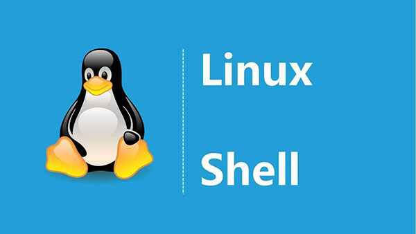 Shell技术：install_mysql-8.0.sh缩略图